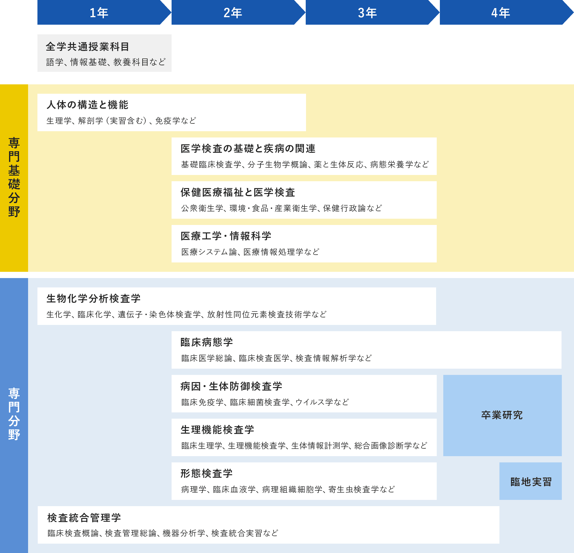 国⽴⼤学臨床検査技師養成課程のカリキュラム（例：神戸大学）